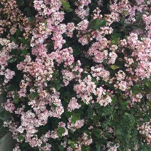 Meet your Posher, Sofia